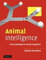 Animal Intelligence: From Individual to Social Cognition - Zhanna Reznikova - cover