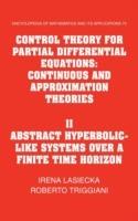 Control Theory for Partial Differential Equations: Volume 2, Abstract Hyperbolic-like Systems over a Finite Time Horizon: Continuous and Approximation Theories - Irena Lasiecka,Roberto Triggiani - cover