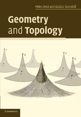 Geometry and Topology - Miles Reid,Balazs Szendroi - cover