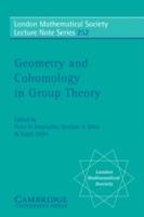 Geometry and Cohomology in Group Theory - cover