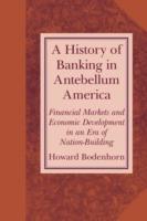 A History of Banking in Antebellum America: Financial Markets and Economic Development in an Era of Nation-Building - Howard Bodenhorn - cover