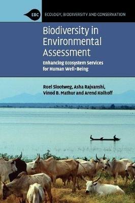 Biodiversity in Environmental Assessment: Enhancing Ecosystem Services for Human Well-Being - Roel Slootweg,Asha Rajvanshi,Vinod B. Mathur - cover