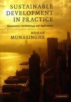 Sustainable Development in Practice: Sustainomics Methodology and Applications