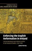 Enforcing the English Reformation in Ireland: Clerical Resistance and Political Conflict in the Diocese of Dublin, 1534–1590 - James Murray - cover