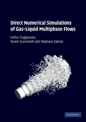 Direct Numerical Simulations of Gas-Liquid Multiphase Flows - Gretar Tryggvason,Ruben Scardovelli,Stephane Zaleski - cover