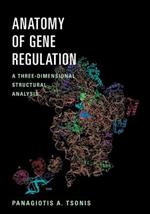 Anatomy of Gene Regulation: A Three-Dimensional Structural Analysis