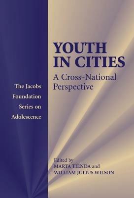 Youth in Cities: A Cross-National Perspective - cover