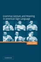 Grammar, Gesture, and Meaning in American Sign Language - Scott K. Liddell - cover