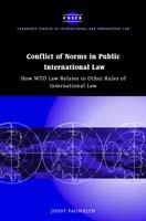 Conflict of Norms in Public International Law: How WTO Law Relates to other Rules of International Law