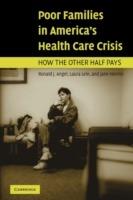 Poor Families in America's Health Care Crisis - Ronald J. Angel,Laura Lein,Jane Henrici - cover
