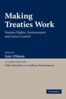 Making Treaties Work: Human Rights, Environment and Arms Control - cover