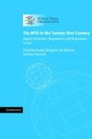 The WTO in the Twenty-first Century: Dispute Settlement, Negotiations, and Regionalism in Asia