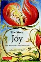 The Story of Joy: From the Bible to Late Romanticism - Adam Potkay - cover