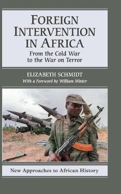 Foreign Intervention in Africa: From the Cold War to the War on Terror - Elizabeth Schmidt - cover