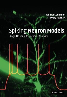 Spiking Neuron Models: Single Neurons, Populations, Plasticity - Wulfram Gerstner,Werner M. Kistler - cover