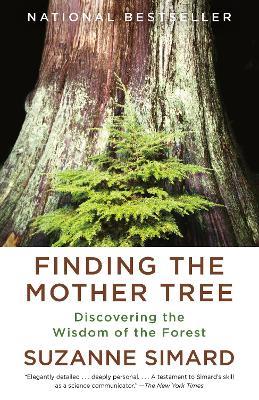 Finding the Mother Tree: Discovering the Wisdom of the Forest - Suzanne Simard - cover