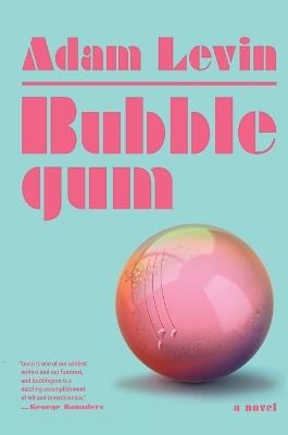 Bubblegum: A Novel - Adam Levin - cover