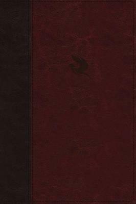 NKJV, Spirit-Filled Life Bible, Third Edition, Leathersoft, Burgundy, Red Letter, Comfort Print: Kingdom Equipping Through the Power of the Word - cover