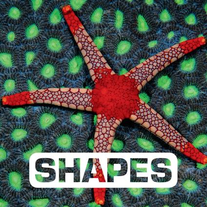 Shapes - Judith Nouvion - ebook