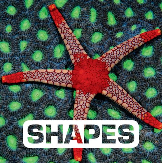 Shapes - Judith Nouvion - ebook