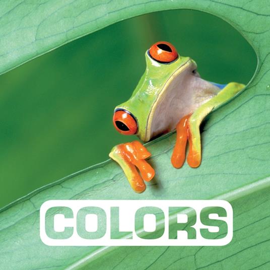 Colors - Marie Vendittelli - ebook
