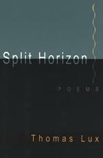 Split Horizon