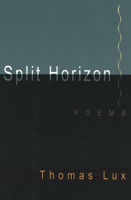 Split Horizon