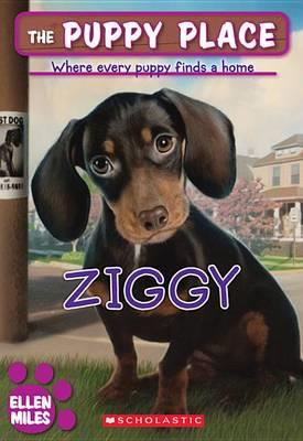 The Puppy Place #21: Ziggy - Ellen Miles - ebook