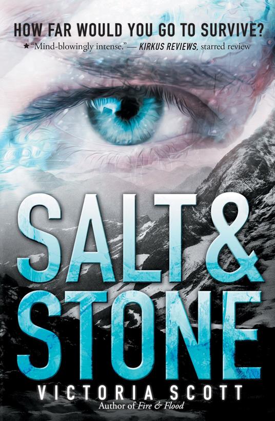 Salt & Stone - Victoria Scott - ebook