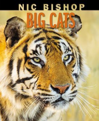 Nic Bishop Big Cats - Nic Bishop - cover