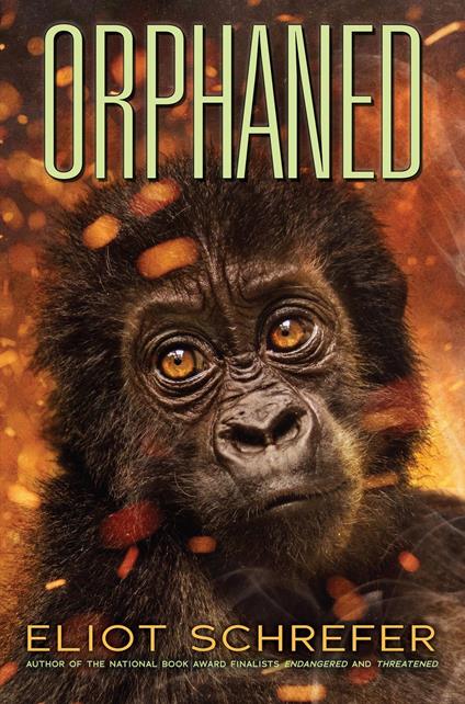 Orphaned (Ape Quartet #4) - Eliot Schrefer - ebook