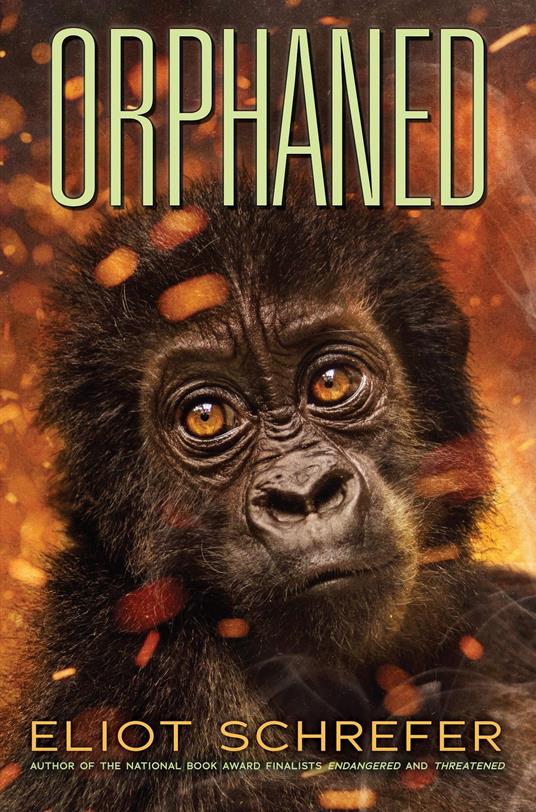 Orphaned (Ape Quartet #4) - Eliot Schrefer - ebook