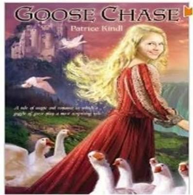 Goose Chase - Patrice Kindl - cover