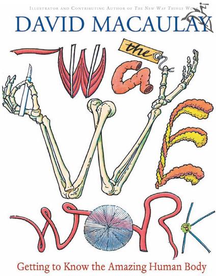 The Way We Work - David Macaulay - ebook