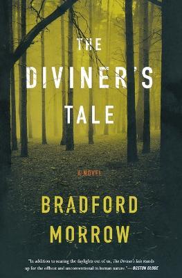 The Diviner's Tale - Brad Morrow - cover