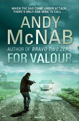 For Valour: (Nick Stone Thriller 16) - Andy McNab - cover