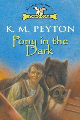 Pony In The Dark - K M Peyton - cover