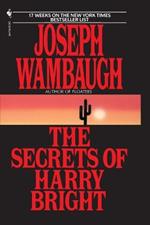 The Secrets of Harry Bright: A Novel