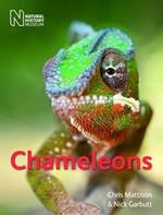 Chameleons