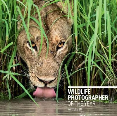 Wildlife Photographer of the Year: Portfolio 28 - cover