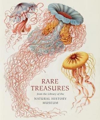 Rare Treasures: From the Library of the Natural History Museum - Judith Magee - cover