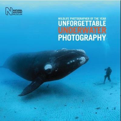 Wildlife Photographer of the Year: Unforgettable Underwater Photography - Rosamund Kidman Cox - cover
