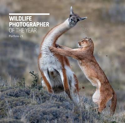 Wildlife Photographer of the Year: Portfolio 29 - cover