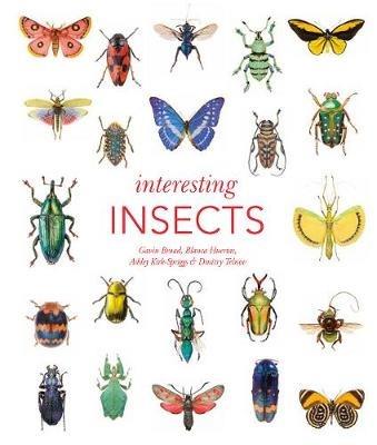 Interesting Insects - Gavin Broad,Ashley Kirk-Spriggs,Dmitry Telnov - cover