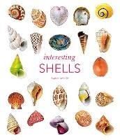 Interesting Shells - Andreia Salvador - cover