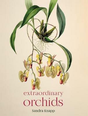 Extraordinary Orchids - Sandra Knapp - cover