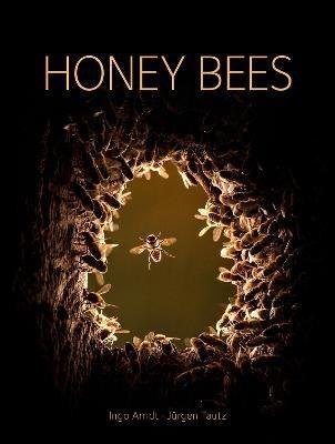 Honey Bees - Jurgen Tautz - cover