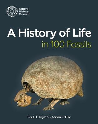 A History of Life in 100 Fossils - Paul D. Taylor,Aaron O'Dea - cover