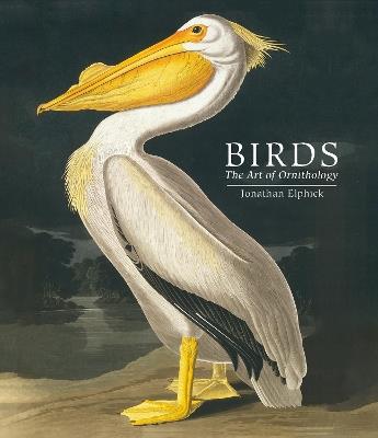 Birds: The Art of Ornithology (Pocket edition) - Jonathan Elphick - cover