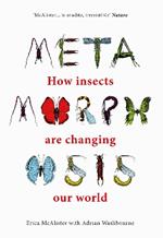 Metamorphosis: How insects are changing our world